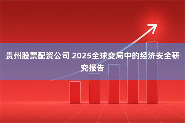 贵州股票配资公司 2025全球变局中的经济安全研究报告
